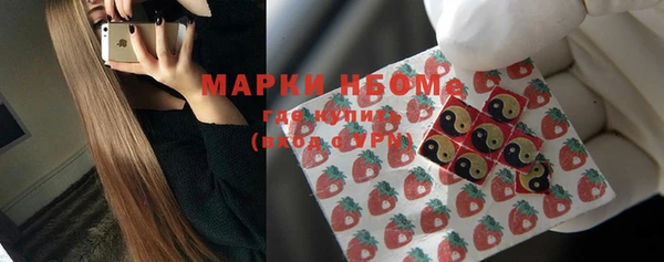 apvp Алзамай
