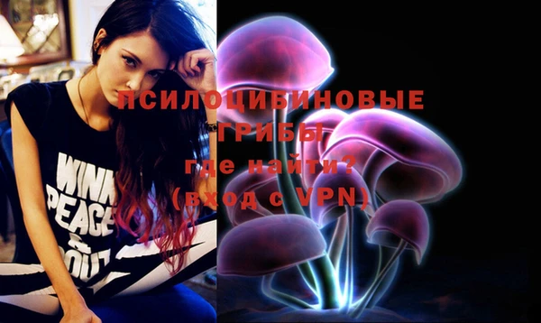индика Абаза